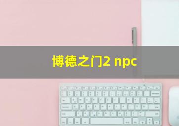 博德之门2 npc